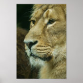 Nahes Lötprofil Poster (Vorne)