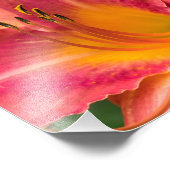 Nahes Macro der Pink Lily Blume Fotodruck (Ecke)