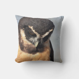 Nahes Owl, das wütend auf den Hafen schaut Kissen