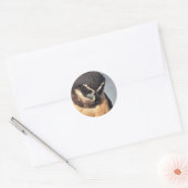 Nahes Owl, das wütend auf den Hafen schaut Runder Aufkleber (Umschlag)