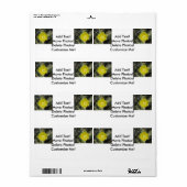 Nahes Pear Yellow Bloom (Vorne)
