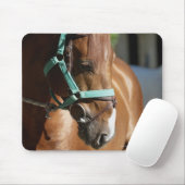 Nahes Pferd 4 Mousepad (Mit Mouse)