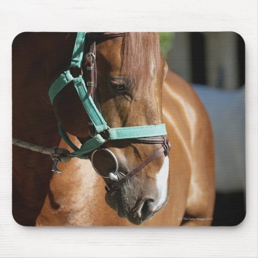 Nahes Pferd 4 Mousepad (Vorne)