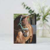 Nahes Pferd 4 Postkarte (Stehend Vorderseite)