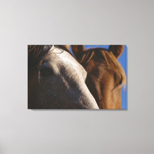 Nahes Pferd Leinwanddruck