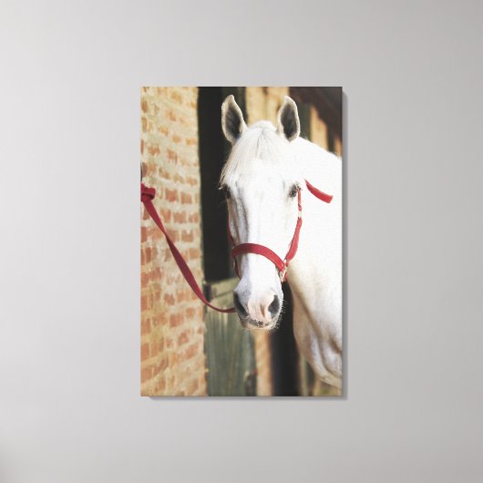 Nahes Pferd Leinwanddruck (Vorderseite)