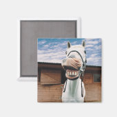 Nahes Pferd mit Mundöffnung Magnet (Vorderseite/Rückseite)