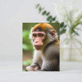Nahes Portrait eines Affen Postkarte (Stehend Vorderseite)