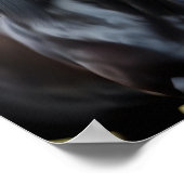 Nahes Portrait eines Schwarzen Pferdes Poster (Ecke)