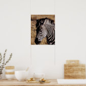 Nahes Porträt eines Zebra - Simbabwe Poster (Küche)