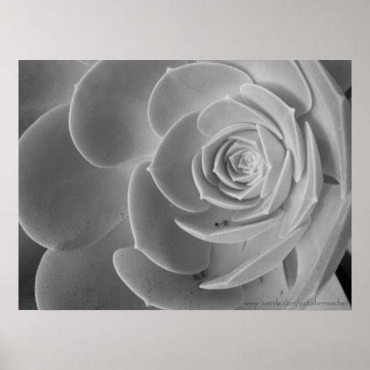 Nahes Poster (Vorne)