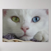 Nahes Poster der Stille (Vorne)