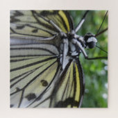 Nahes Puzzle: Schwarz-Weiß-Schmetterling Puzzle (Horizontal)