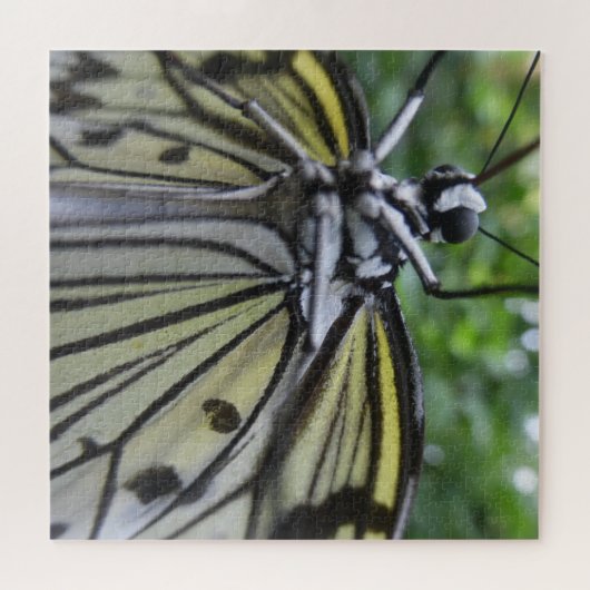 Nahes Puzzle: Schwarz-Weiß-Schmetterling Puzzle (Horizontal)