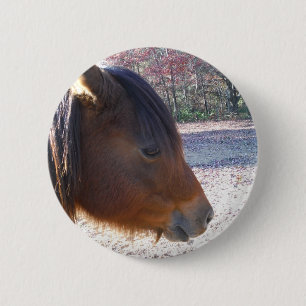 Nahes Reitpferd, Little Brown Pony Button