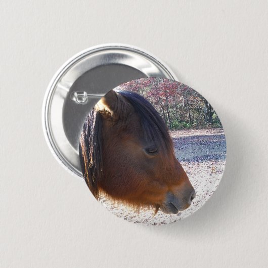 Nahes Reitpferd, Little Brown Pony Button (Vorne & Hinten)