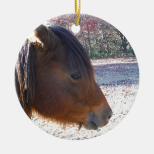 Nahes Reitpferd, Little Brown Pony Keramik Ornament