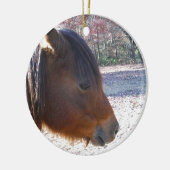 Nahes Reitpferd, Little Brown Pony Keramik Ornament (Links)
