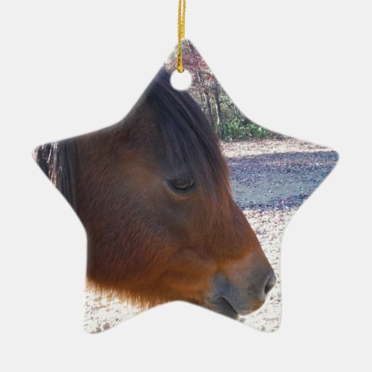 Nahes Reitpferd, Little Brown Pony Keramik Ornament (Vorne)