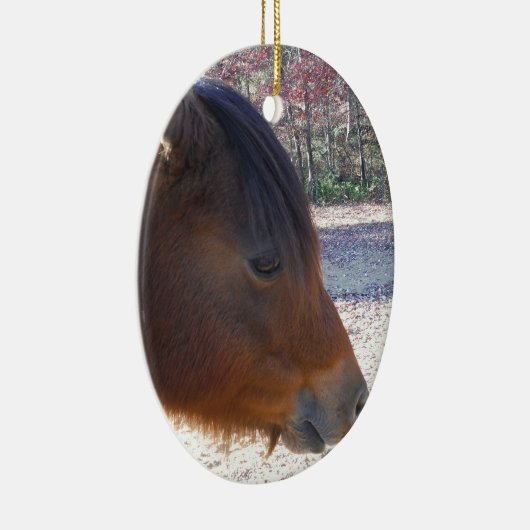 Nahes Reitpferd, Little Brown Pony Keramikornament (Rechts)