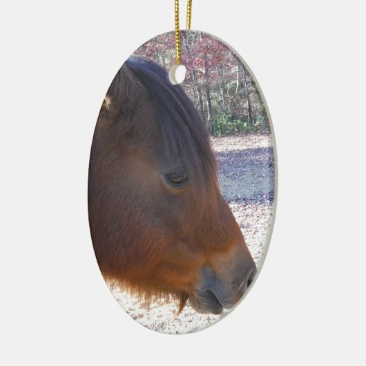 Nahes Reitpferd, Little Brown Pony Keramikornament (Links)