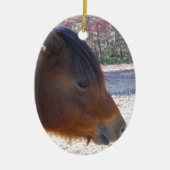 Nahes Reitpferd, Little Brown Pony Keramikornament (Vorne)