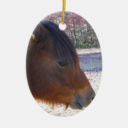 Nahes Reitpferd, Little Brown Pony Keramikornament (Vorne)