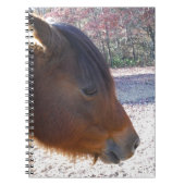 Nahes Reitpferd, Little Brown Pony Notizblock (Vorderseite)