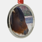 Nahes Reitpferd, Little Brown Pony Ornament Aus Metall (Rechts)