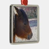 Nahes Reitpferd, Little Brown Pony Silbernes Ornament (Rechts)