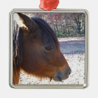 Nahes Reitpferd, Little Brown Pony Silbernes Ornament