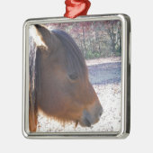 Nahes Reitpferd, Little Brown Pony Silbernes Ornament (Links)