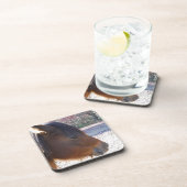 Nahes Reitpferd, Little Brown Pony Untersetzer (Rechte Seite)