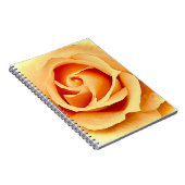Nahes Rose-Notebook Notizblock (Rechte Seite)