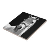 Nahes Schwarz-weißes Pferd in der Nacht Fliese (Seite)