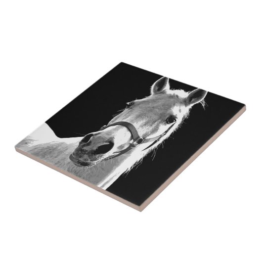 Nahes Schwarz-weißes Pferd in der Nacht Fliese (Seite)