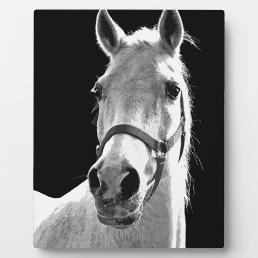 Nahes Schwarz-weißes Pferd in der Nacht Fotoplatte (Vorderseite)