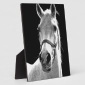 Nahes Schwarz-weißes Pferd in der Nacht Fotoplatte (Seite)