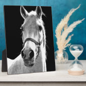 Nahes Schwarz-weißes Pferd in der Nacht Fotoplatte (Seite)