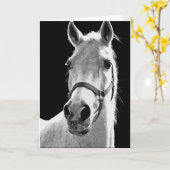 Nahes Schwarz-weißes Pferd in der Nacht Karte (Gelbe Blume)