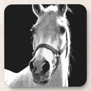 Nahes Schwarz-weißes Pferd in der Nacht Untersetzer