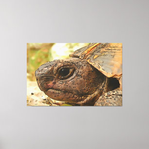 Nahes Seitenportrait einer türkischen Schildkröte Leinwanddruck