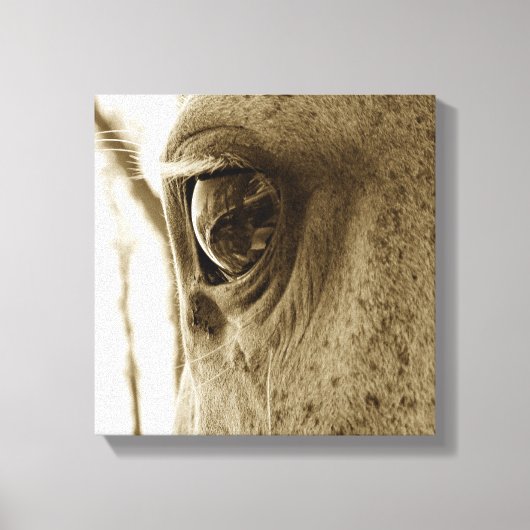 Nahes Sepia-Bild eines Grausehauges Leinwanddruck (Vorderseite)