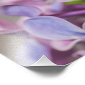 Nahes Up-Lilac-Blumenbild Fotodruck (Ecke)