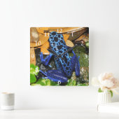 Nahes Up of a Blue Poision Dart Frog Quadratische Wanduhr (Zuhause)