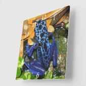 Nahes Up of a Blue Poision Dart Frog Quadratische Wanduhr (Winkel)