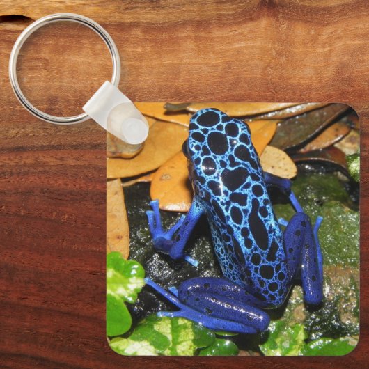 Nahes Up of a Blue Poision Dart Frog Schlüsselanhänger (Vorderseite)