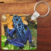 Nahes Up of a Blue Poision Dart Frog Schlüsselanhänger (Rückseite)