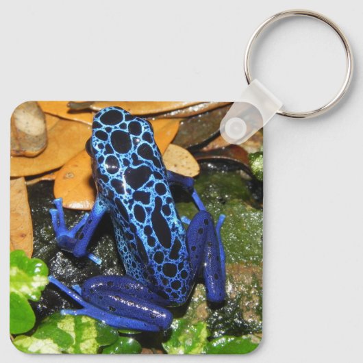 Nahes Up of a Blue Poision Dart Frog Schlüsselanhänger (Rückseite)
