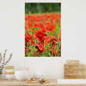 Nahes up of a Poppy field, Frankreich Poster (Küche)